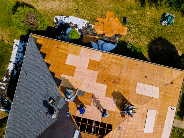 Best Roof Maintenance Services  in Wilson, WY