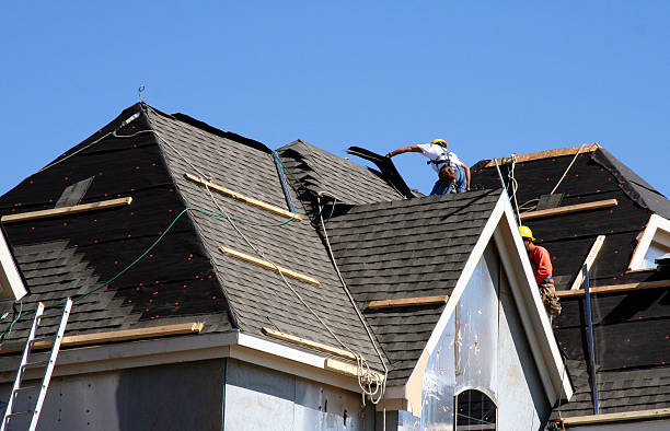 Best Roof Gutter Cleaning  in Wilson, WY