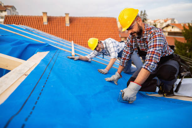 Best Metal Roofing Contractor  in Wilson, WY