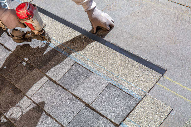 Best Roof Leak Repair  in Wilson, WY