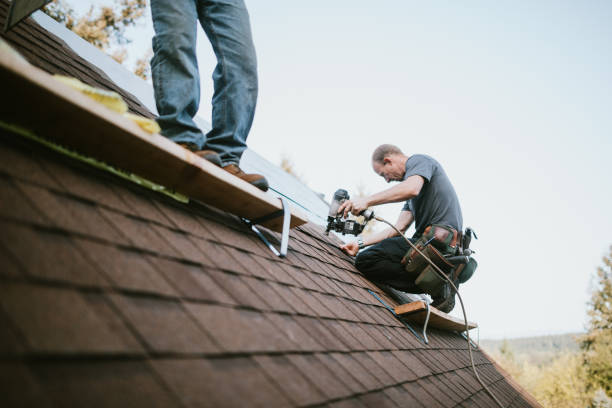 Sealant for Roof in Wilson, WY