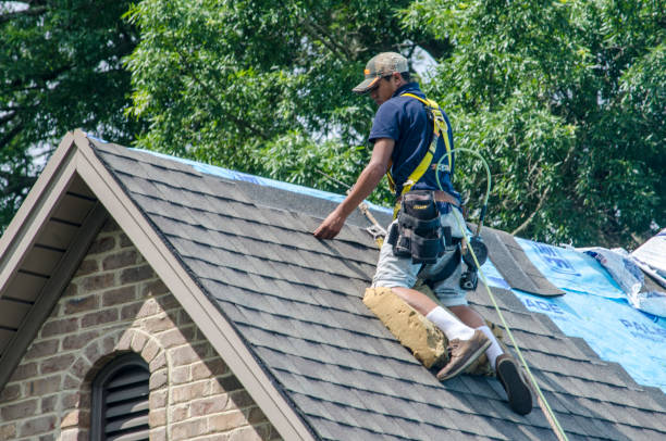 Best Roof Restoration Services  in Wilson, WY